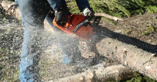 Chainsaw Operator Advanced  (Specialised Techniques & Emergency Treework Operations) (CSA)